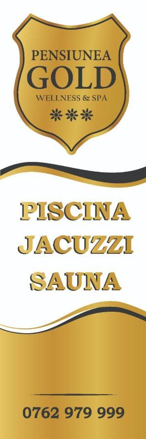 Pensiunea Gold Wellness&Spa Chiscau Εξωτερικό φωτογραφία