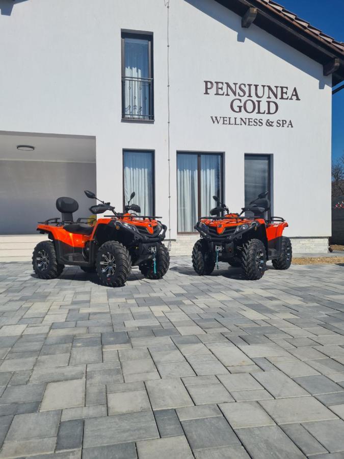 Pensiunea Gold Wellness&Spa Chiscau Εξωτερικό φωτογραφία